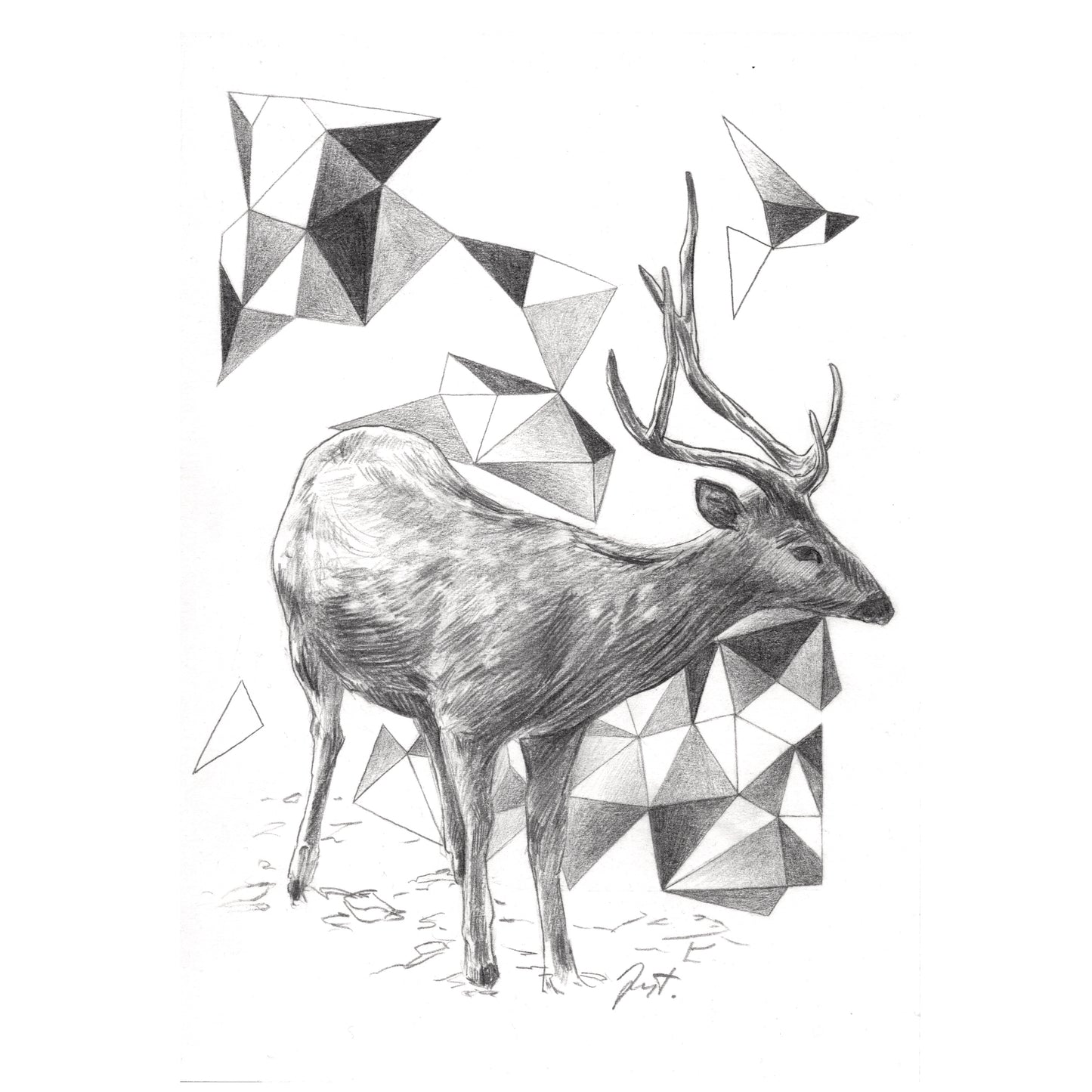 Geometrical Deer