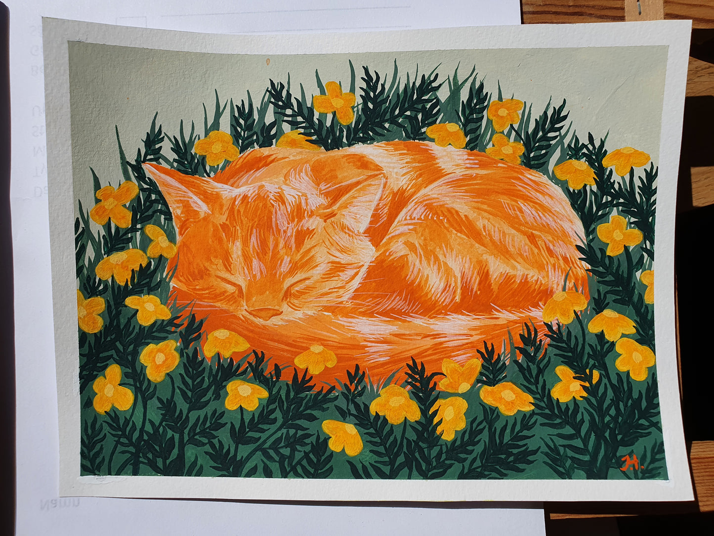 Sleeping Meadow Cat