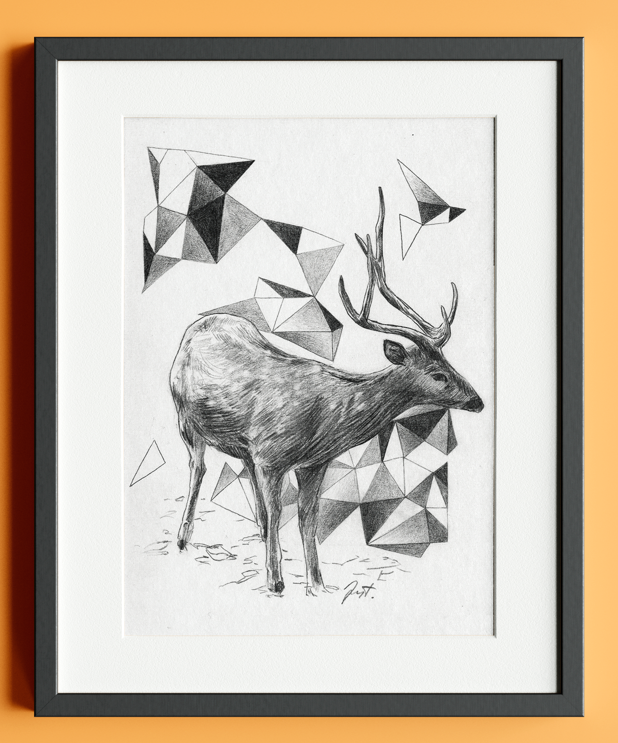 Geometrical Deer